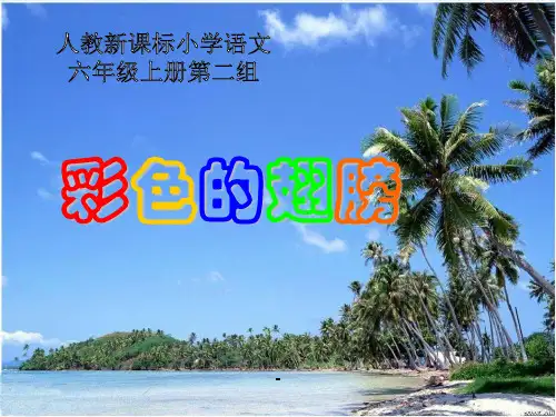 彩色的翅膀-PPT课件 