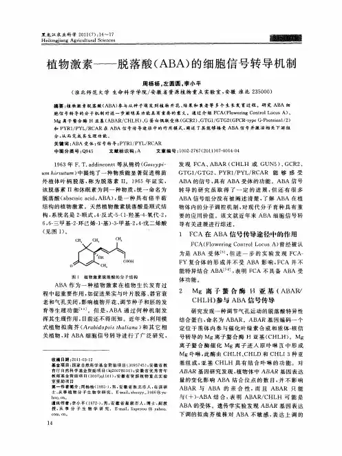 植物激素——脱落酸(ABA)的细胞信号转导机制