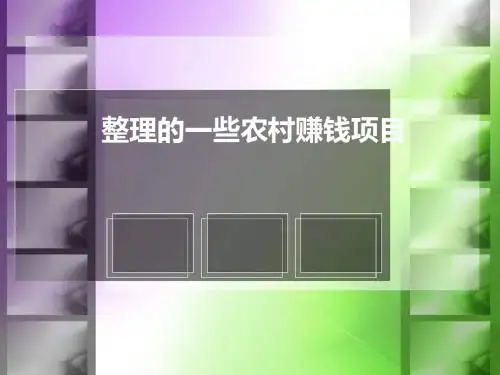 整理的一些农村赚钱项目