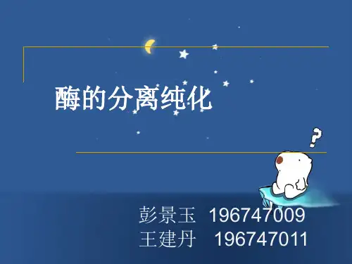 酶的分离纯化