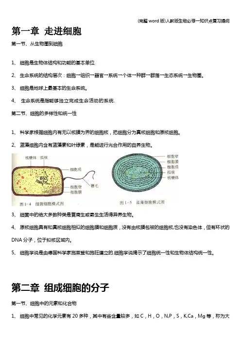 (完整word版)人教版生物必修一知识点复习提纲