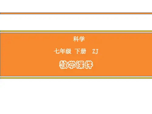 浙教版科学七年级下册课件第二章第1节 感觉世界(课时1)