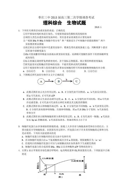 山东省枣庄第三中学2015届高三第二次学情考试生物试题 Word版含答案