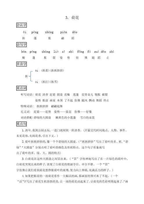 【精品】部编版三年级语文下册知识点总结课堂笔记3.荷花-假期预习必备
