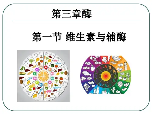 第三章第一节 维生素与辅酶