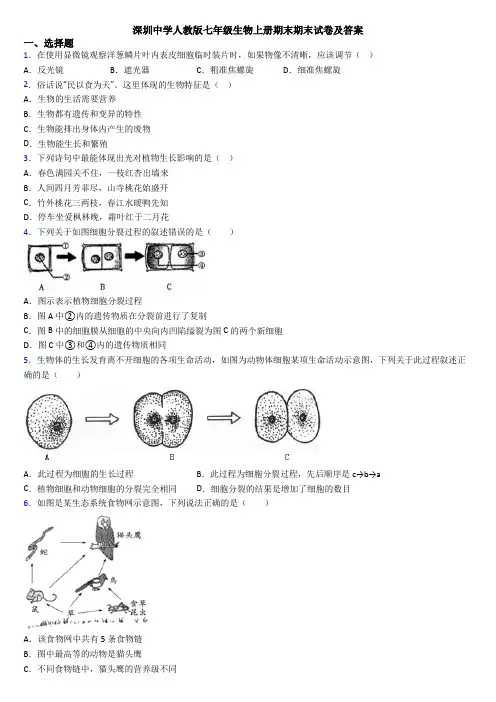 深圳中学人教版七年级生物上册期末期末试卷及答案