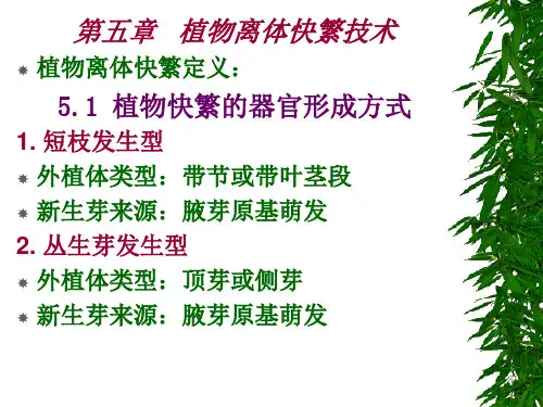 第五章植物细胞组织培养(园艺)