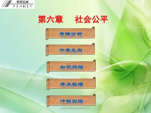 【中考冲刺】广东2016年中考政治复习课件 第六章  社会公平(共60张ppt)
