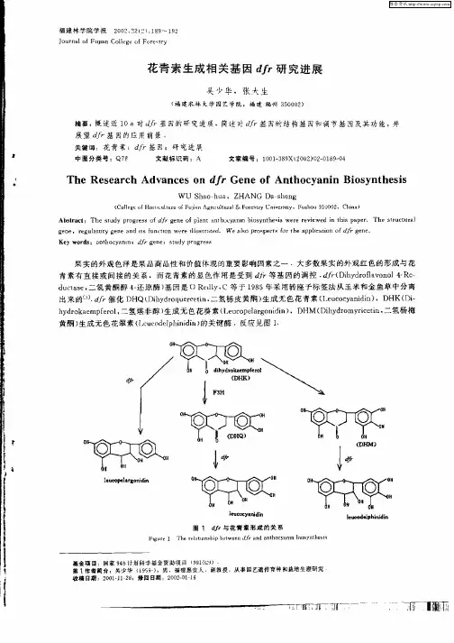 花青素生成相关基因dfr研究进展