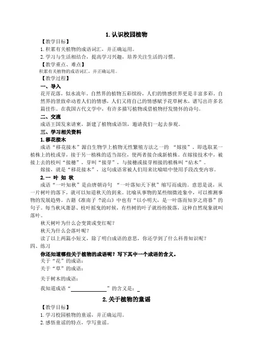 植物王国教案