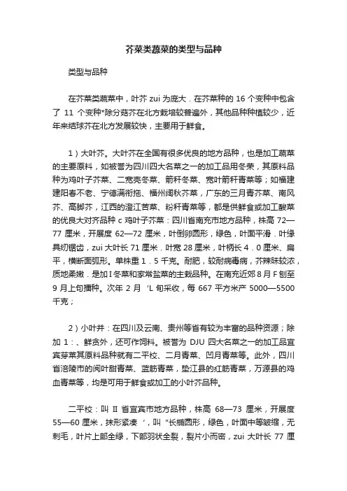 芥菜类蔬菜的类型与品种