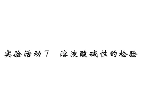 化学九年级下人教版第十单元实验活动7溶液酸碱性的检验课件(19张)