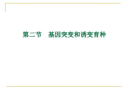 第七章 微生物的遗传变异和育种2