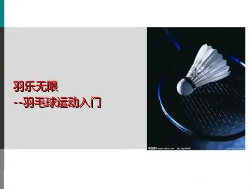 羽毛球
