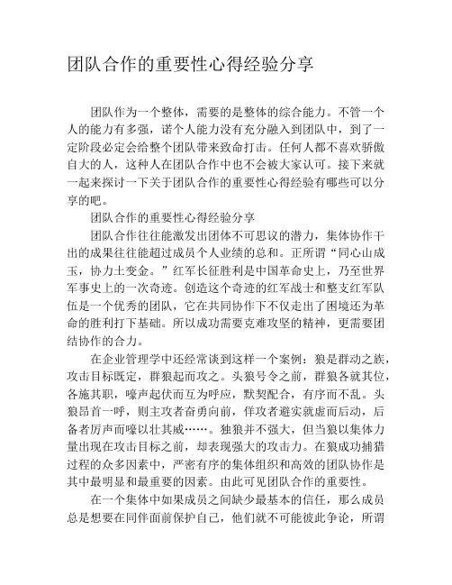 团队合作的重要性心得经验分享