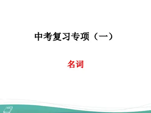 中考英语复习专项——名词