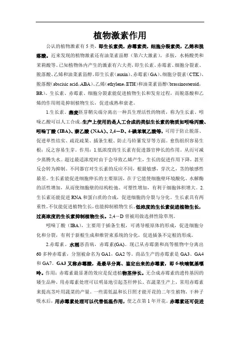 植物激素的种类及作用