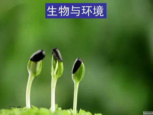 小学科学五年级_种子发芽实验(一)