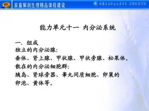 动物解剖学之 内分泌系统