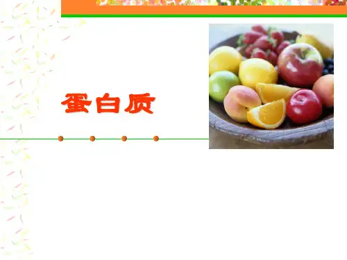 蛋白质-PPT课件