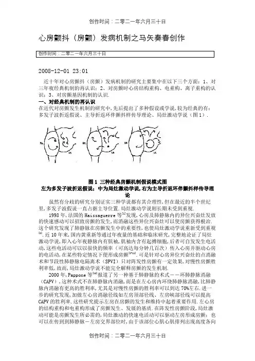 心房颤动(房颤)发病机制