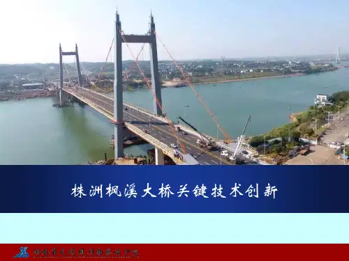 某大桥关键技术创新概述(PPT67页)