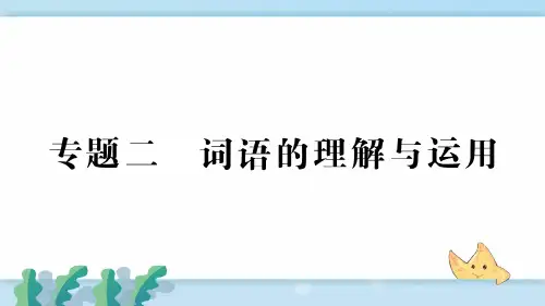 七年级语文下册 专题二 词语的理解与运用 (2)