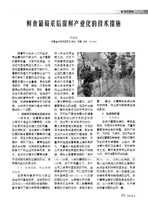 鲜食葡萄采后保鲜产业化的技术措施