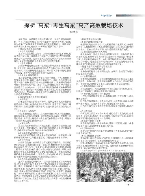 探析“高粱+再生高粱”高产高效栽培技术