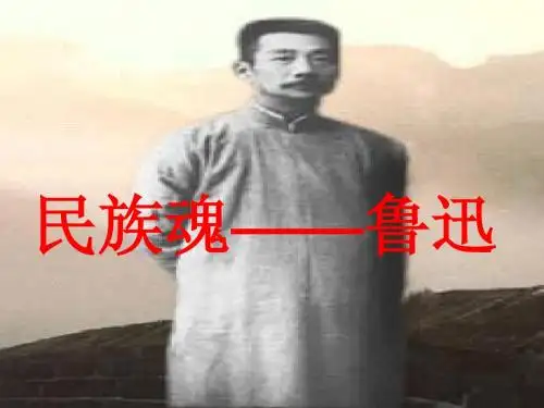 人教版六年级语文上册第五单元复习