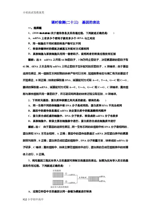 【配套K12】2019届高考全国卷人教版生物一轮复习课时检测(二十三) 基因的表达 Word版含解析
