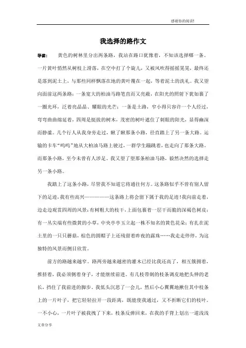 我选择的路作文