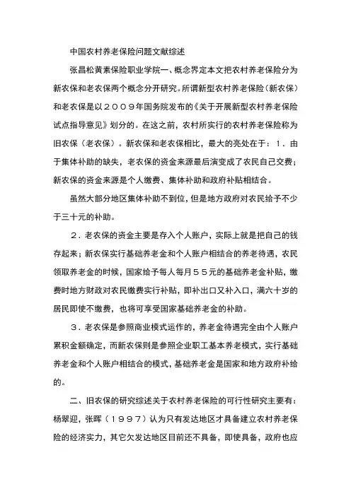 中国农村养老保险问题文献综述