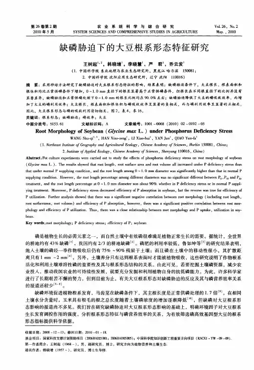 缺磷胁迫下的大豆根系形态特征研究