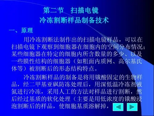 12、第二节 扫描电镜冷冻割断样品制备技术