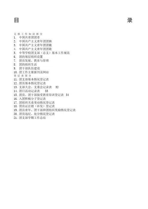 团支部工作手册
