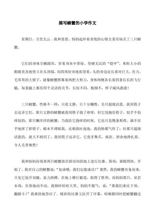 描写螃蟹的小学作文