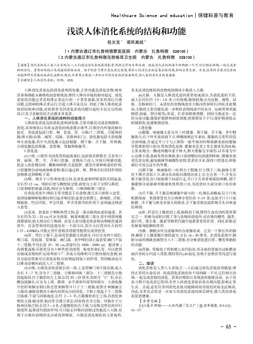 浅谈人体消化系统的结构和功能 2