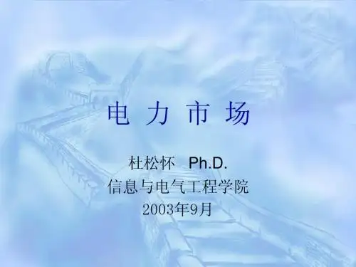 第五章 动态OPF与电力市场经济性能研究
