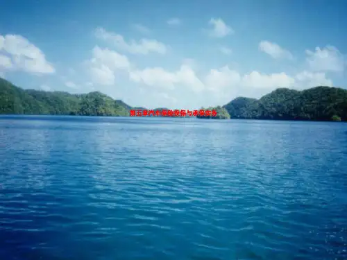 第五章汽车保险投保与承保实务