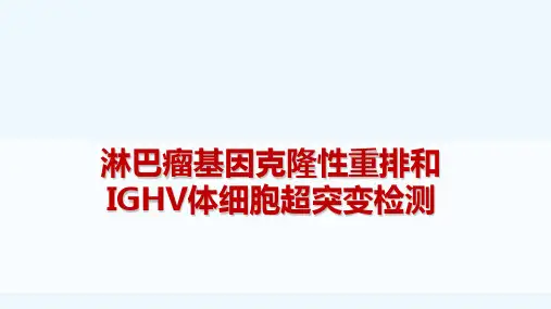 淋巴瘤基因克隆性重排检测