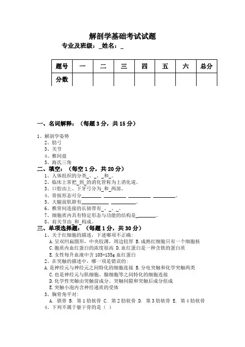 解剖学基础考试试题
