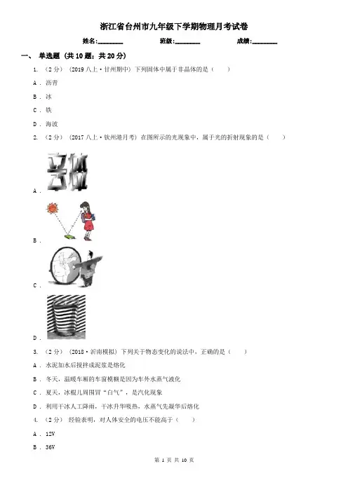 浙江省台州市九年级下学期物理月考试卷