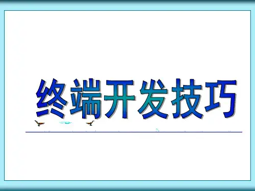 终端开发技巧