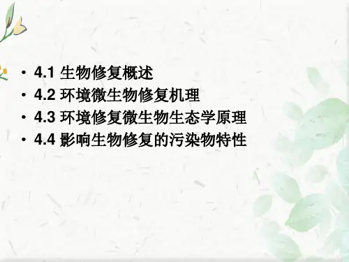 污染环境的生物修复ppt课件