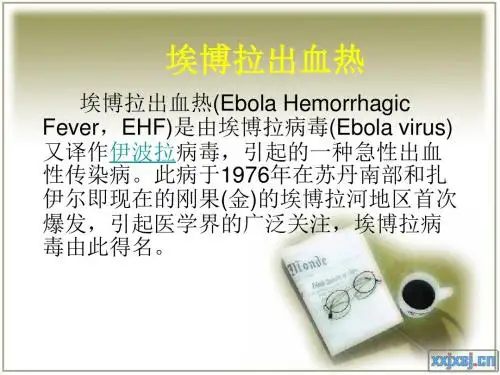 埃博拉防控培训.ppt.