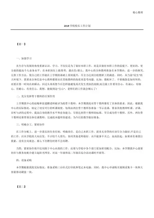 学校校长工作计划
