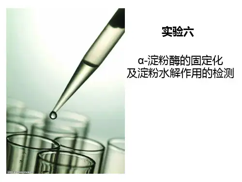 淀粉酶的固定化及淀粉水解作用的检测