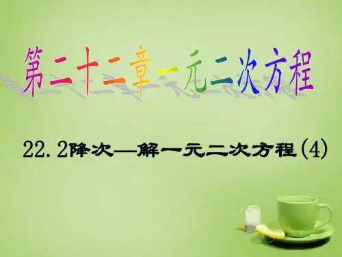 广东省九年级数学上册 22.2 降次——解一元二次方程课件4 新人教版