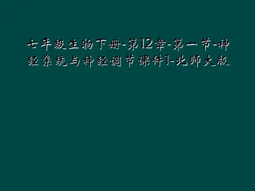 七年级生物下册-第12章-第一节-神经系统与神经调节课件1-北师大版